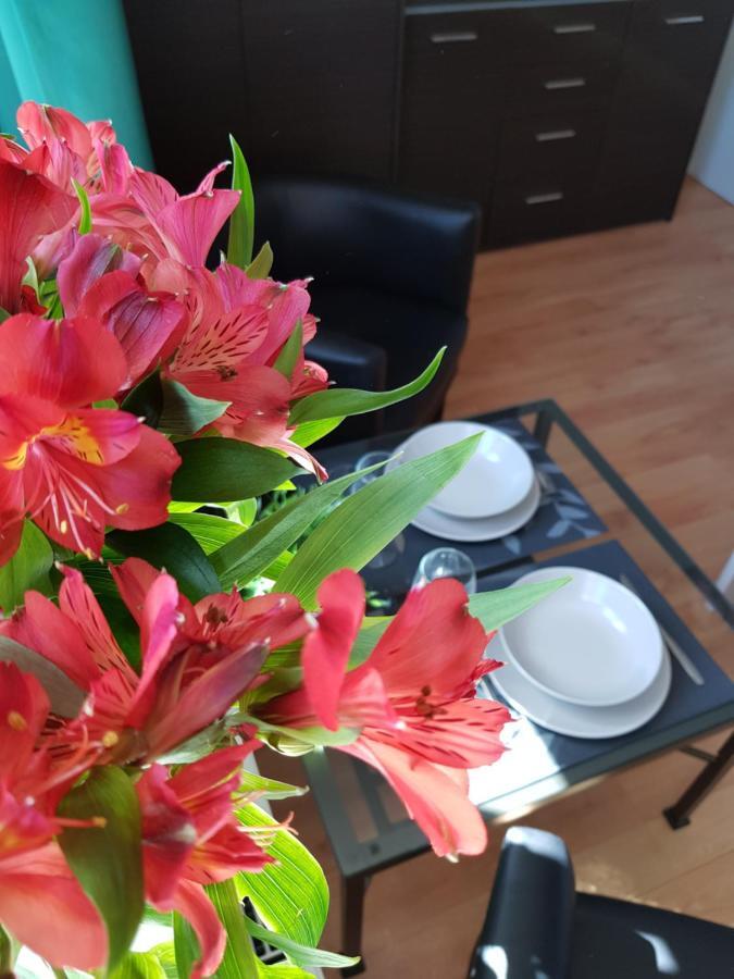 Kotwica Puck Apartment Bagian luar foto